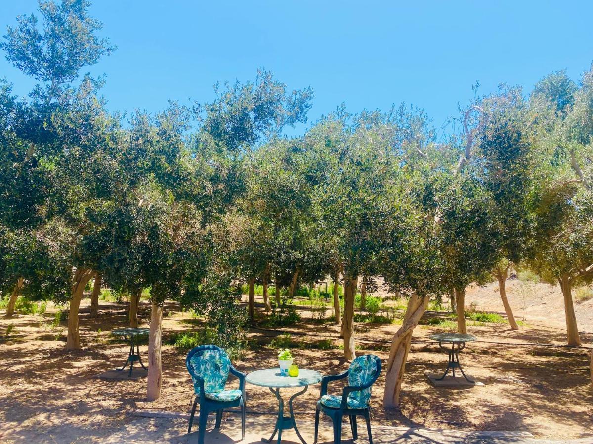 Olive Bungalow Gran Tarajal Exteriér fotografie